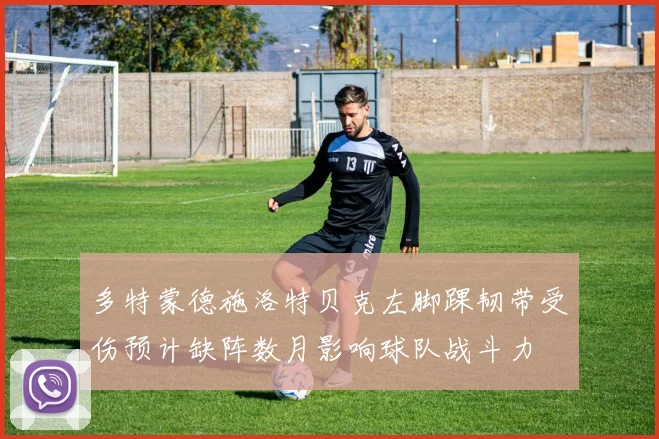 多特蒙德施洛特贝克左脚踝韧带受伤预计缺阵数月影响球队战斗力